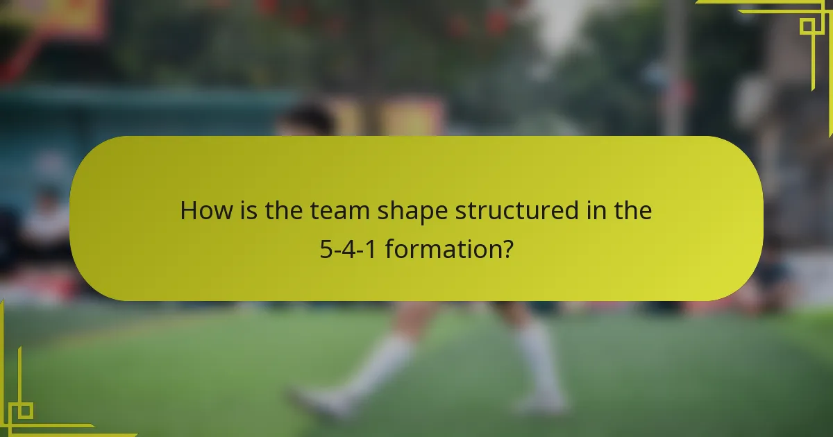How is the team shape structured in the 5-4-1 formation?