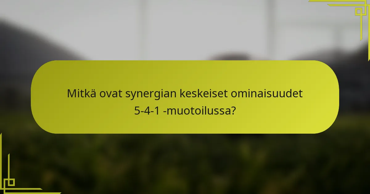 Mitkä ovat synergian keskeiset ominaisuudet 5-4-1 -muotoilussa?