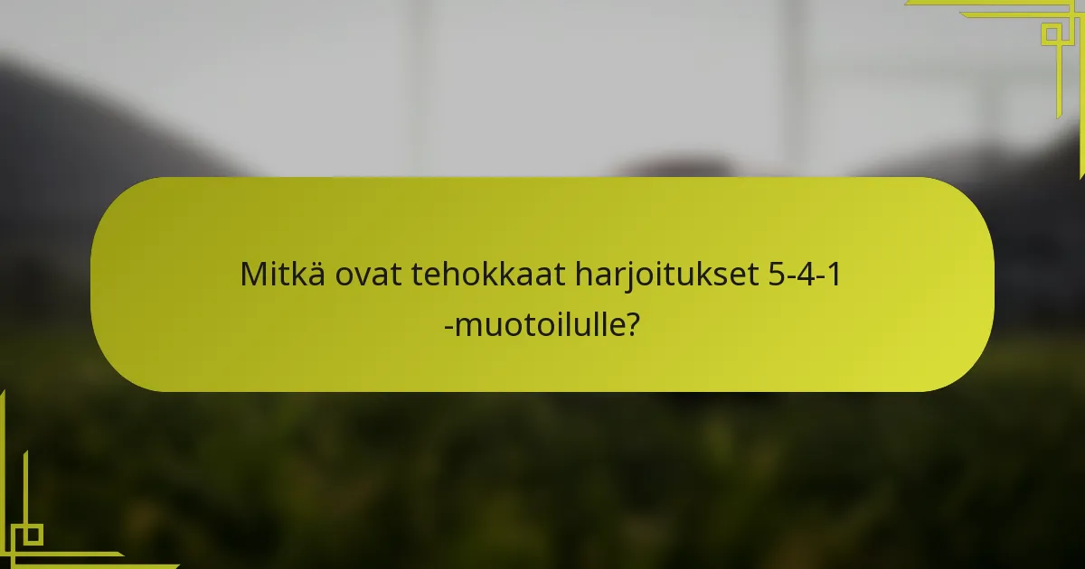 Mitkä ovat tehokkaat harjoitukset 5-4-1 -muotoilulle?